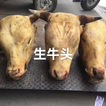 牛头