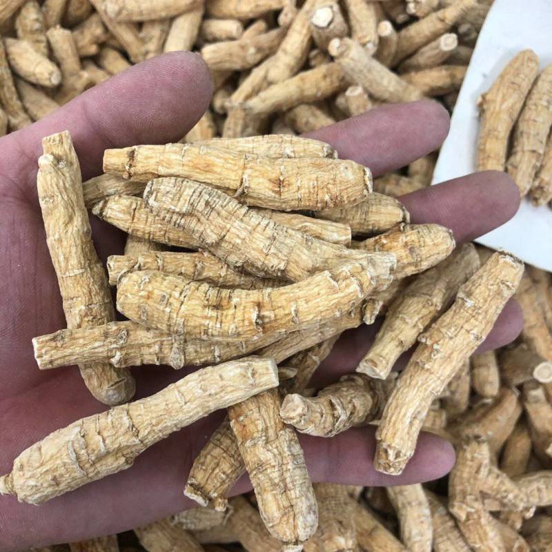 花旗参加拿大进口西洋参切片滋补汤料5克黄皮花旗参正品
