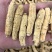 花旗参加拿大进口西洋参切片滋补汤料5克黄皮花旗参正品