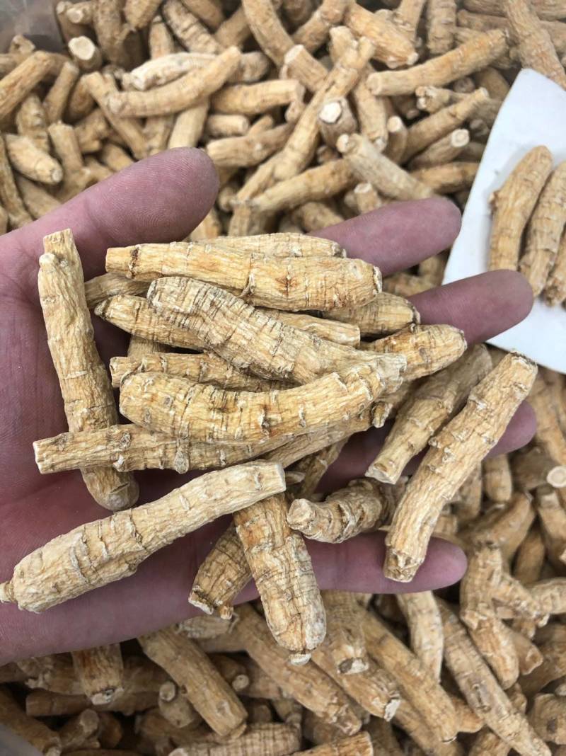 花旗参加拿大进口西洋参切片滋补汤料5克黄皮花旗参正品