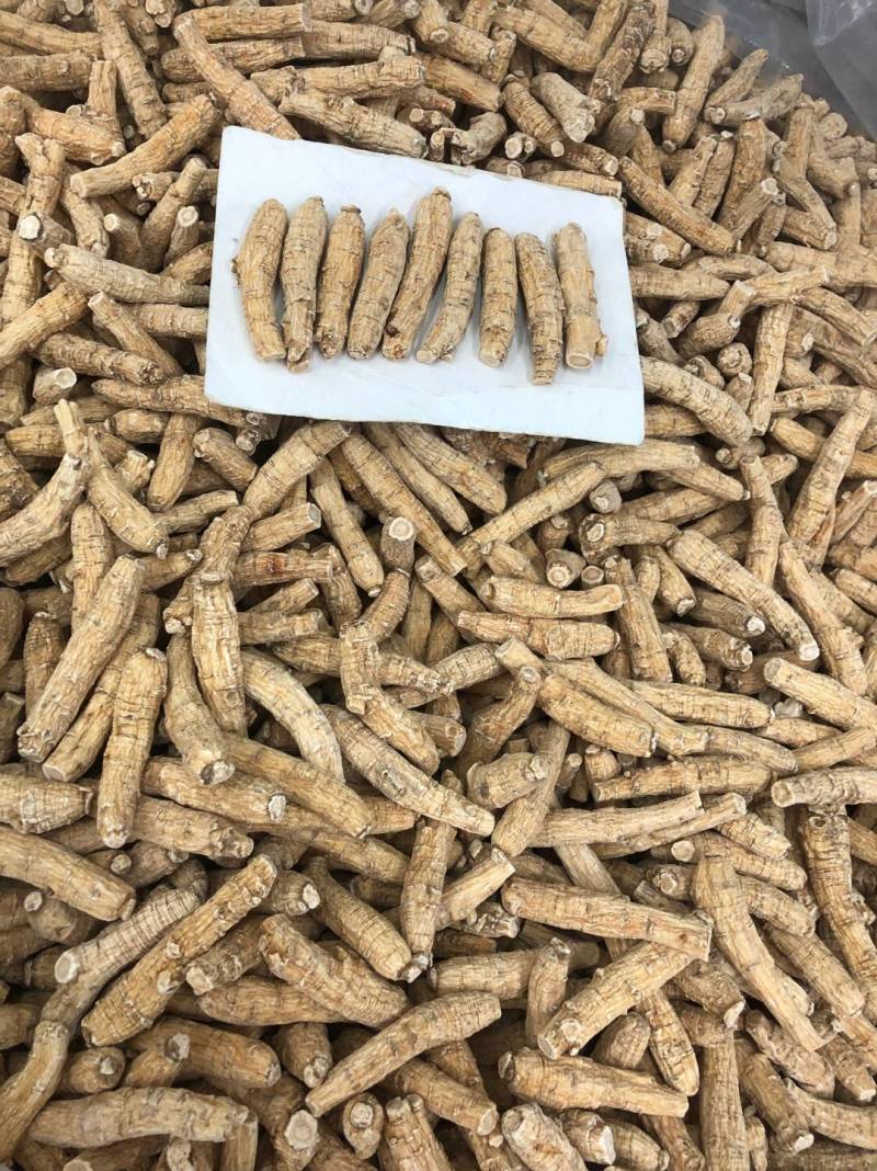 花旗参加拿大进口西洋参切片滋补汤料5克黄皮花旗参正品