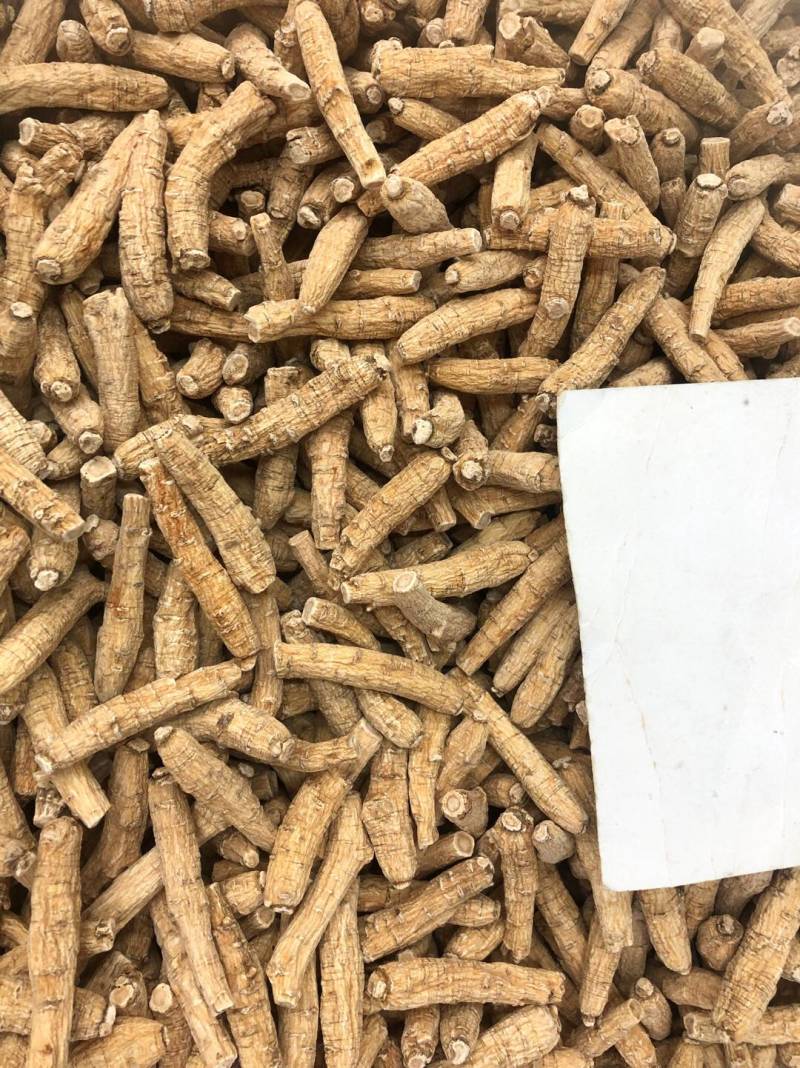 花旗参加拿大进口西洋参切片滋补汤料5克黄皮花旗参正品