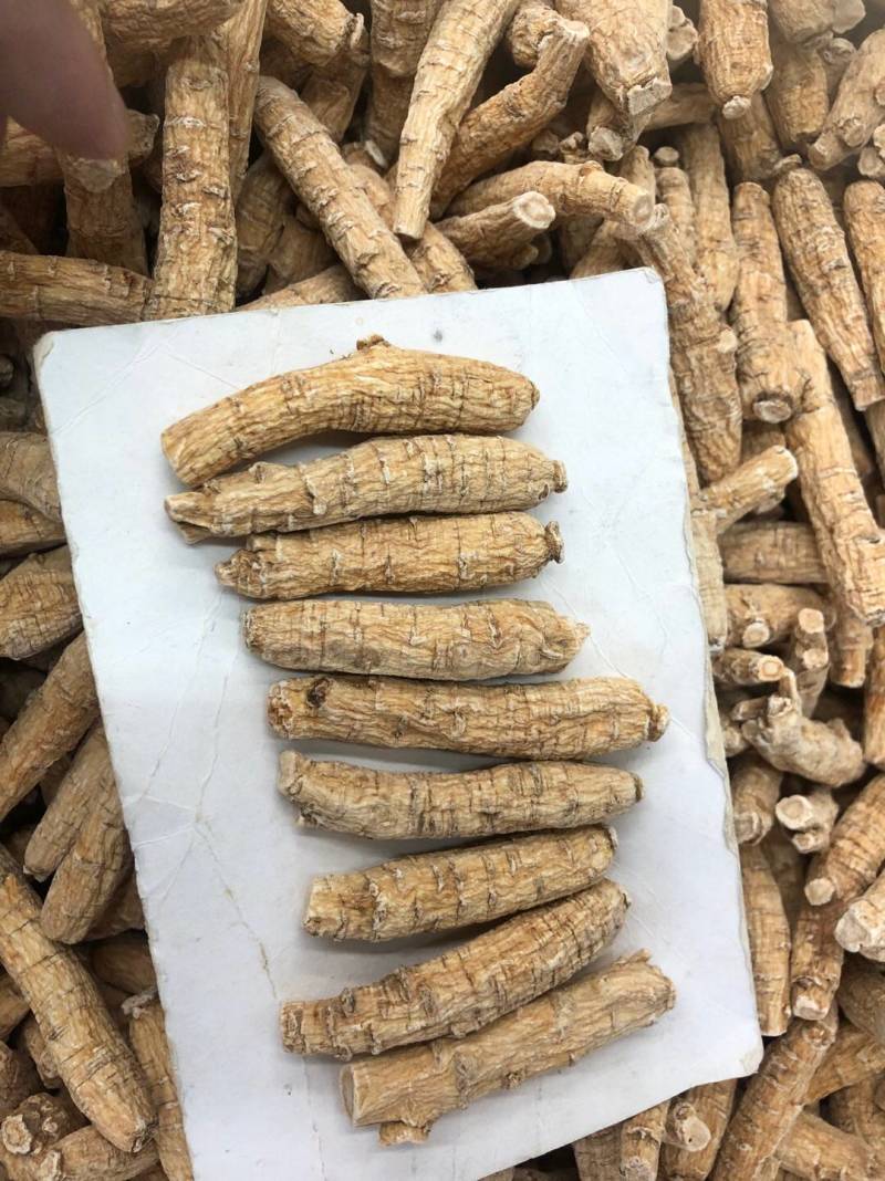 花旗参加拿大进口西洋参切片滋补汤料5克黄皮花旗参正品