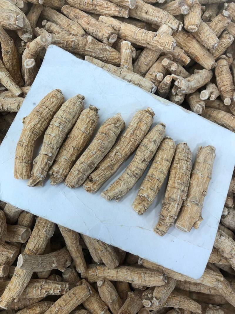 花旗参加拿大进口西洋参切片滋补汤料5克黄皮花旗参正品