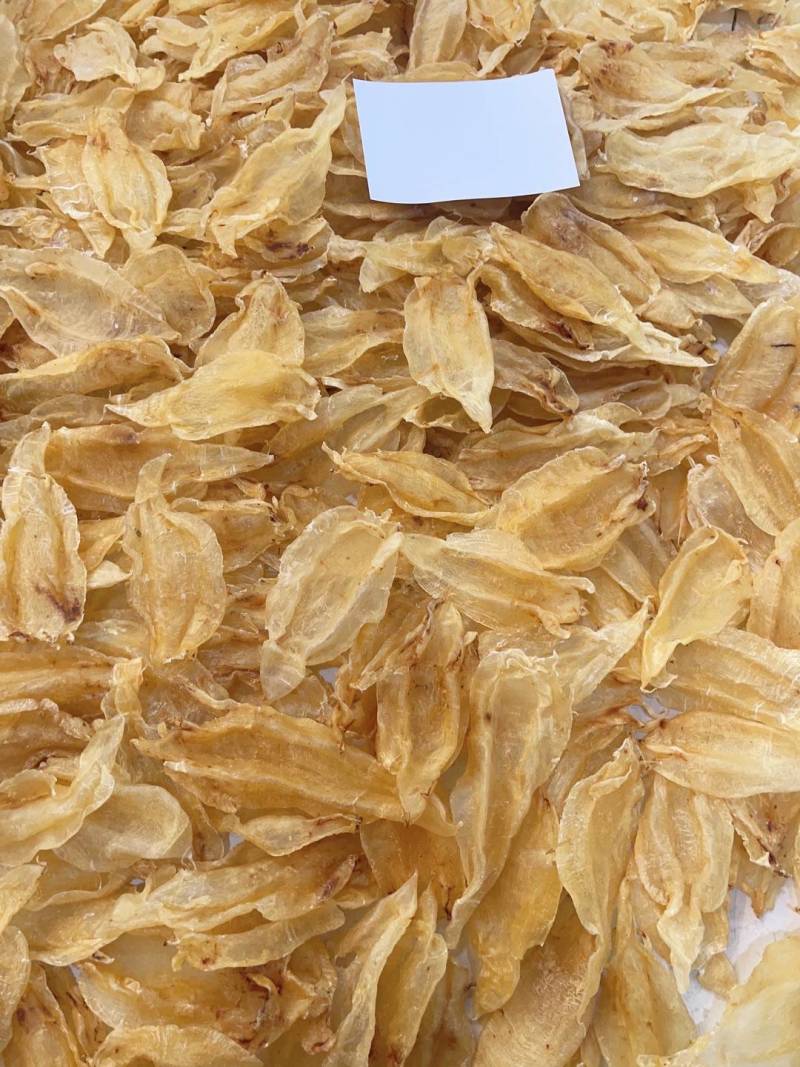 鱼胶花胶北海母胶干货赤嘴鱼胶传统滋补海味干货孕妇花胶