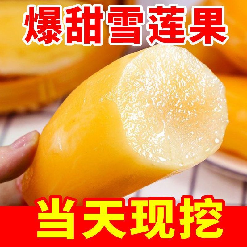 云南天山雪莲果中圆果大量有货支持一件代发批发