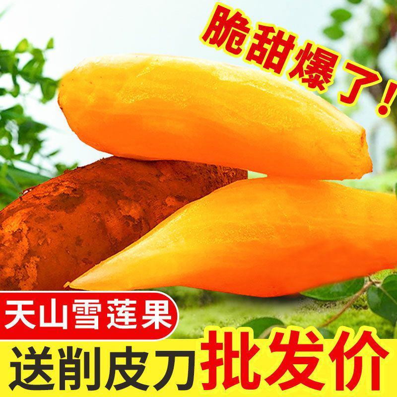 云南天山雪莲果中圆果大量有货支持一件代发批发