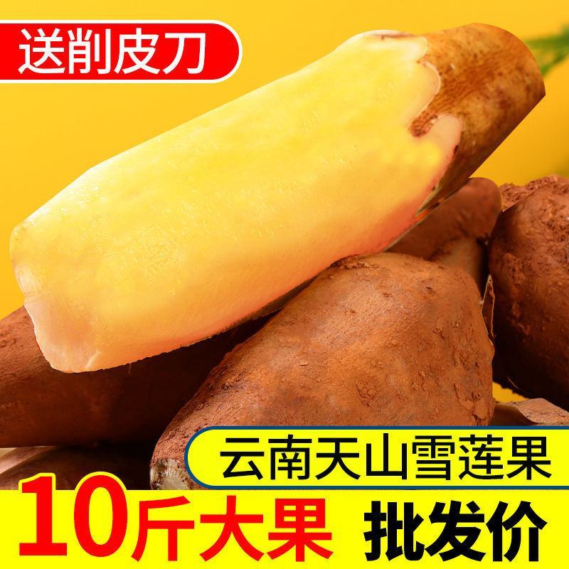 云南天山雪莲果中圆果大量有货支持一件代发批发