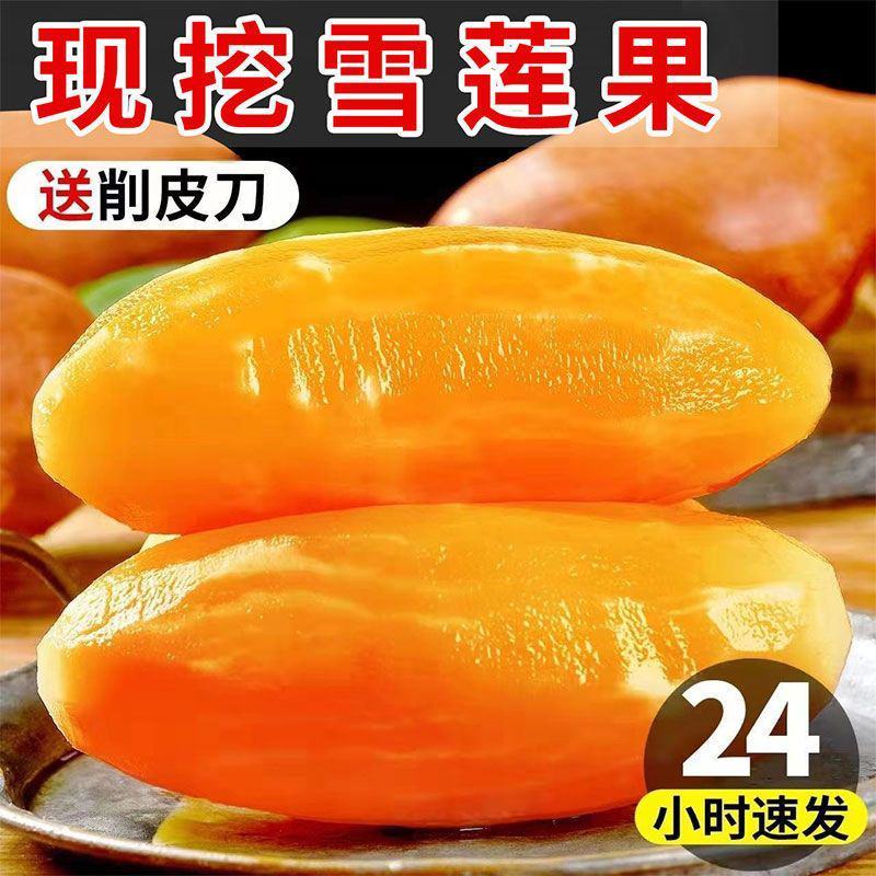 云南天山雪莲果中圆果大量有货支持一件代发批发