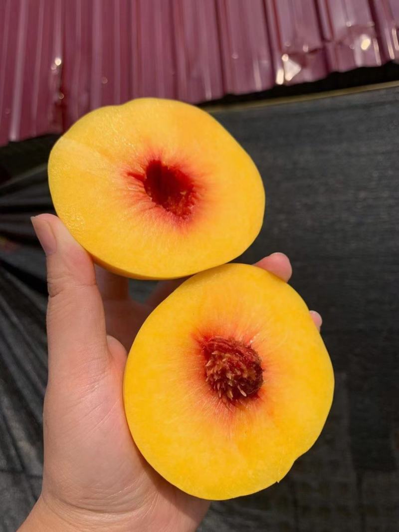 锦绣黄桃