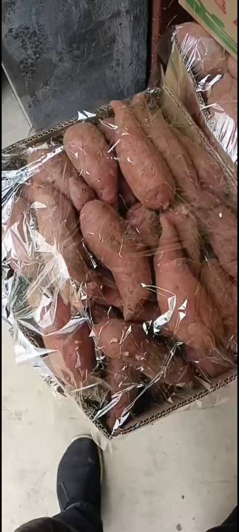 济薯26红薯上市中，3量以上商品薯，加工薯都有，质量保证