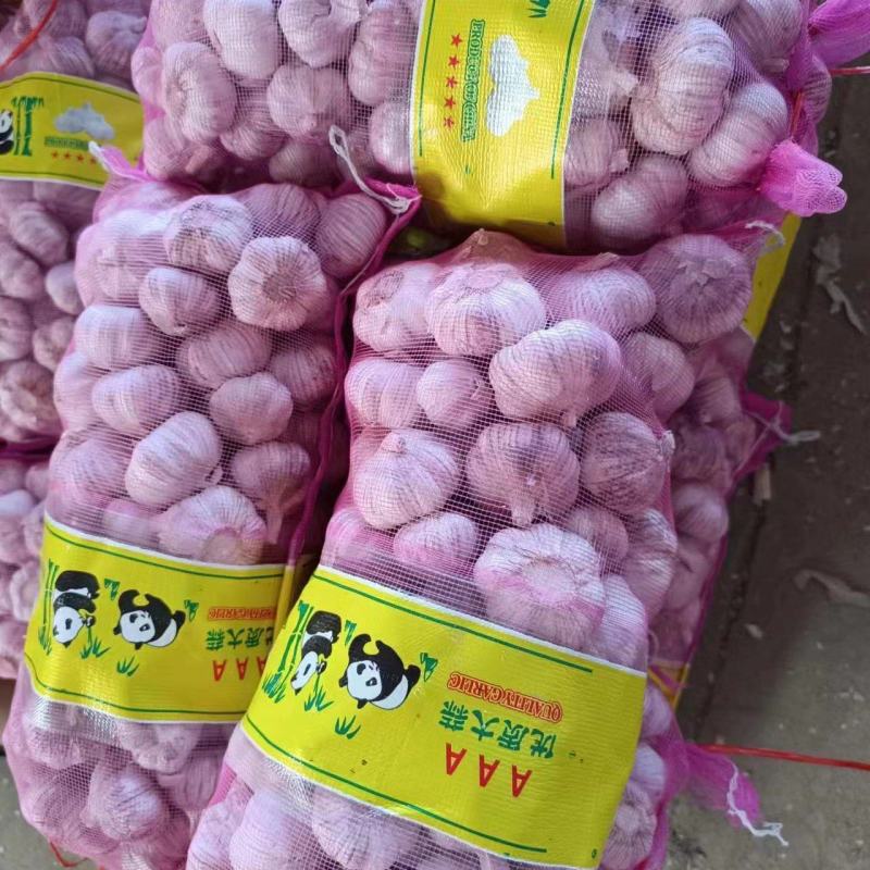 大蒜产地直发，【市场货，电商货，外贸货】支持全国各地发货