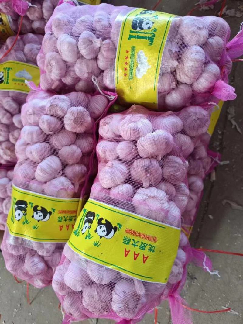 大蒜产地直发，【市场货，电商货，外贸货】支持全国各地发货