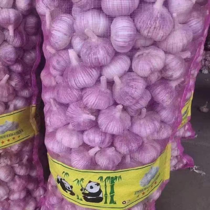 大蒜产地直发，【市场货，电商货，外贸货】支持全国各地发货