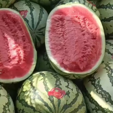 山茶油