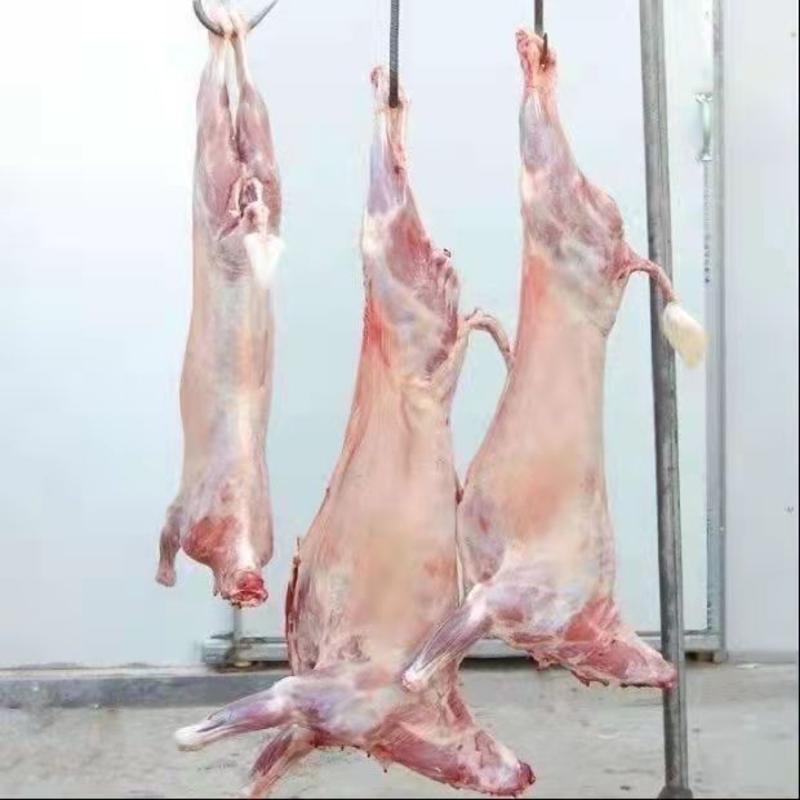羊肉烤全羊，山羊肉自家养殖每天现杀货货源充足