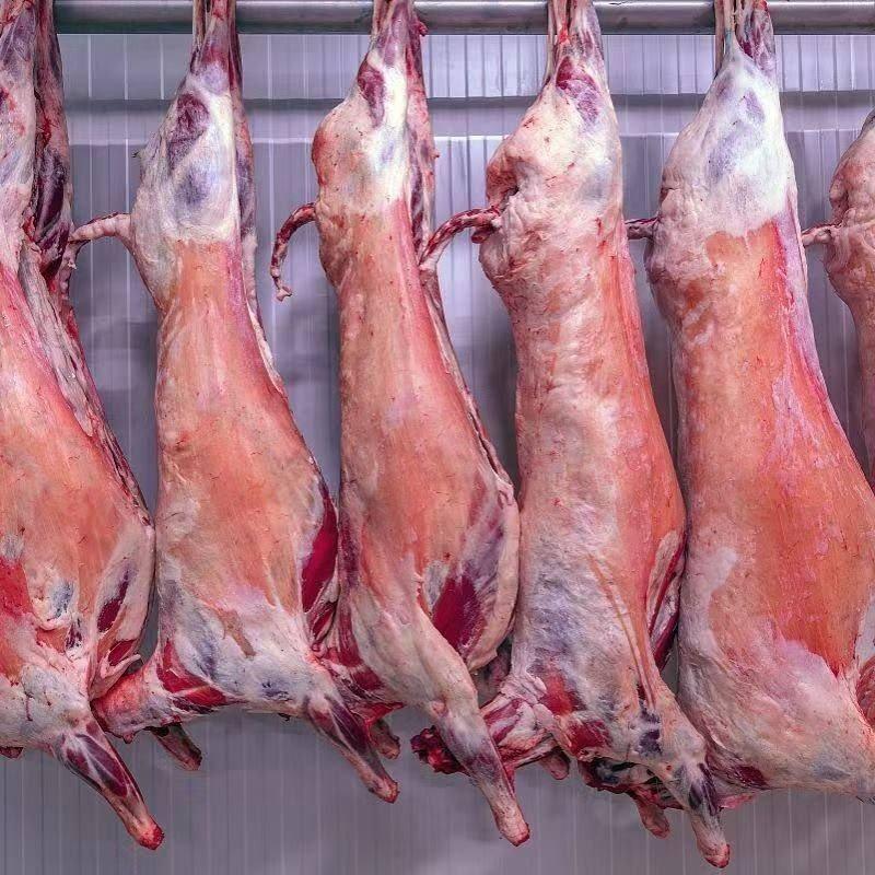 羊肉烤全羊，山羊肉自家养殖每天现杀货货源充足