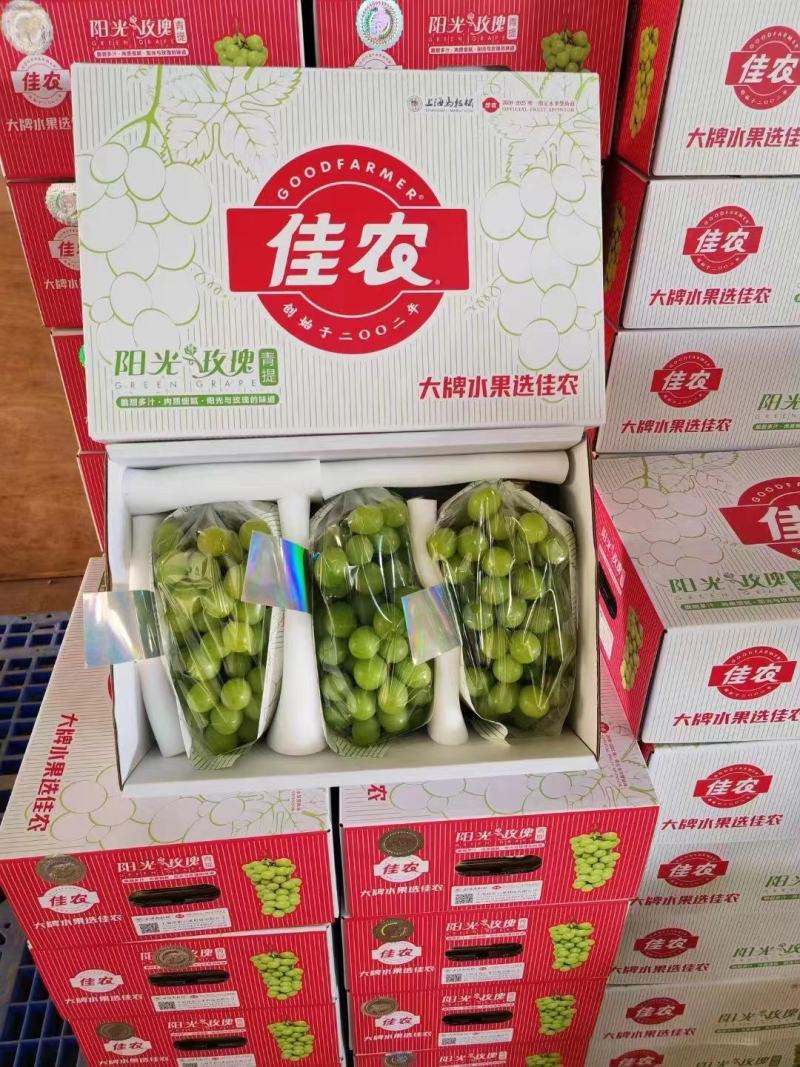 【精品阳光玫瑰】阳光玫瑰陕西产地直发全国市场商超量大从优电联