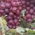 精品巨峰葡萄，产地直供，价格真实，品质保证