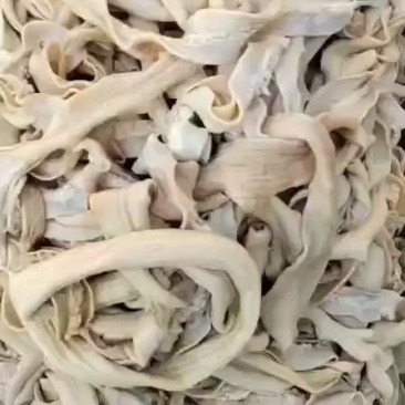 纯干半熟精品牛肠，大肠，小肠，伞袋，都是抛开去油的