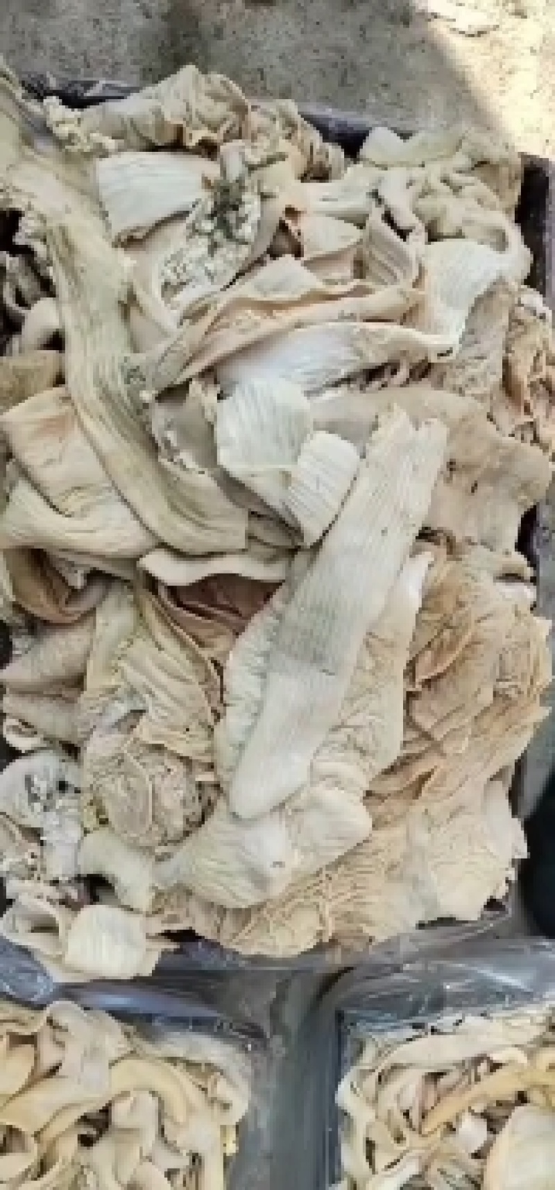 纯干半熟精品牛肠，大肠，小肠，伞袋，都是抛开去油的