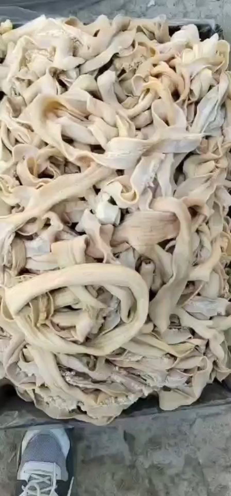 纯干半熟精品牛肠，大肠，小肠，伞袋，都是抛开去油的