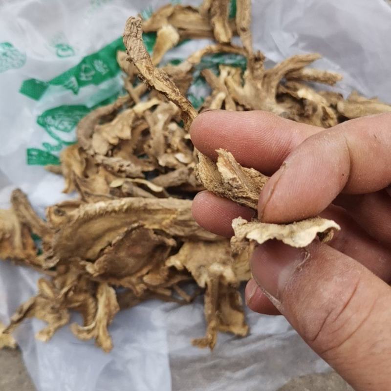 肉独活甘肃平凉华亭市肉独活量大优惠质量保证欢迎选