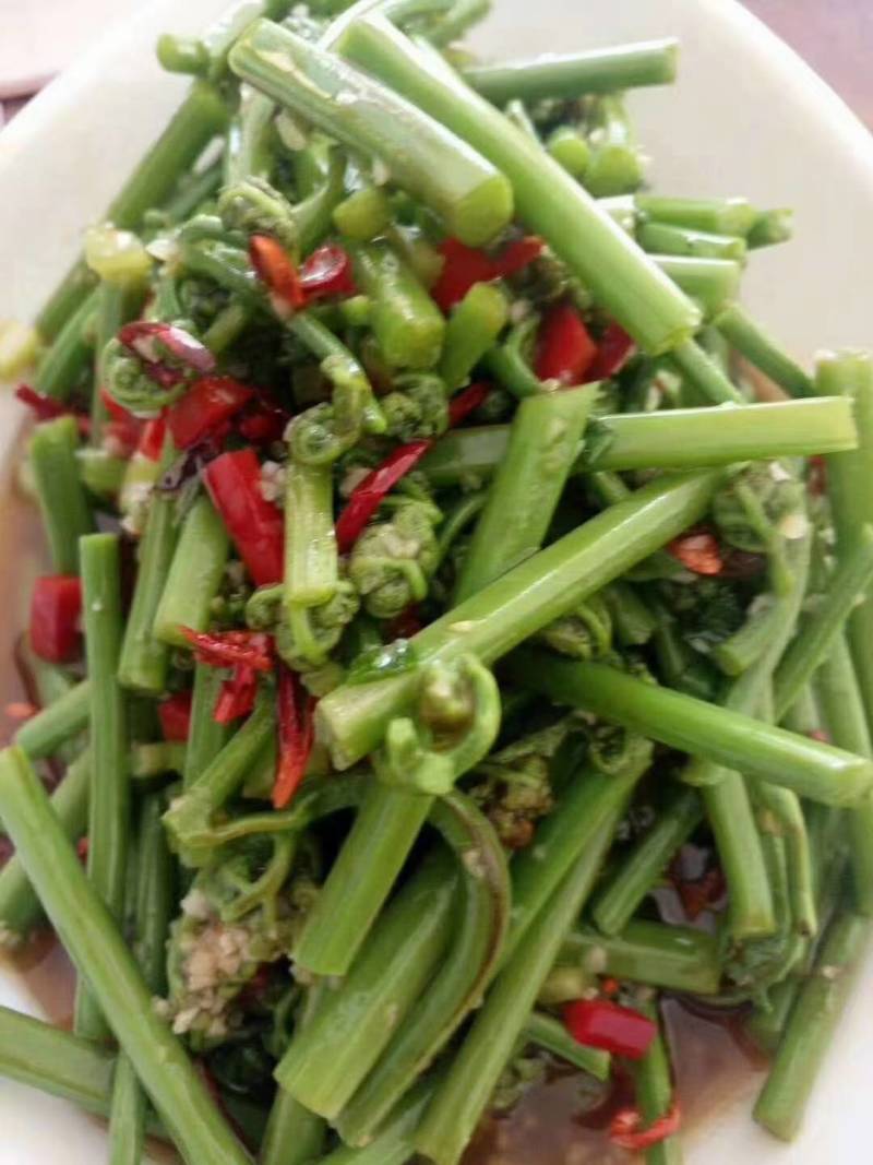 精品野生蕨菜产地直发品质保证量大从优欢迎联系