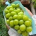 阳光玫瑰葡萄，颗粒饱满，甜度高，对接电商，基地直供，大量