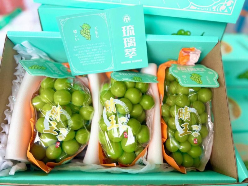 阳光玫瑰葡萄，颗粒饱满，甜度高，对接电商，基地直供，大量