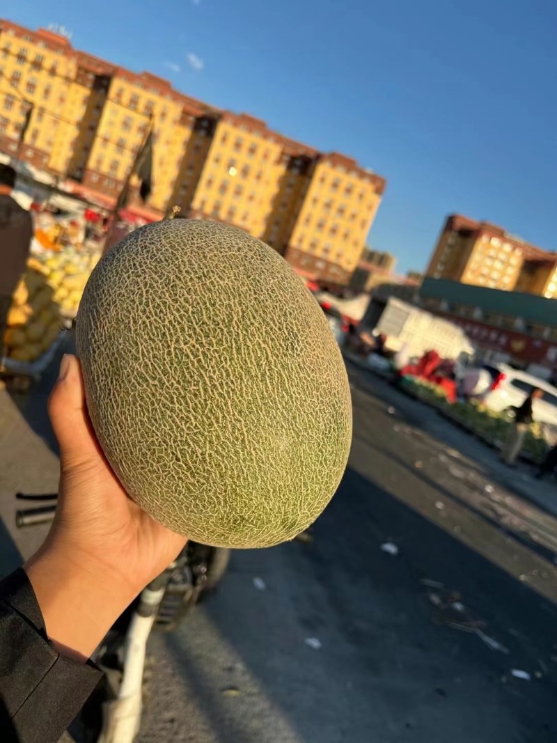 新西兰西梅