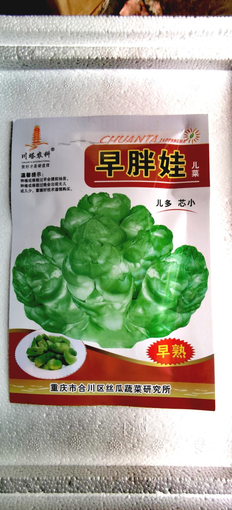 儿菜种子早胖娃早熟大角味道甜嫩