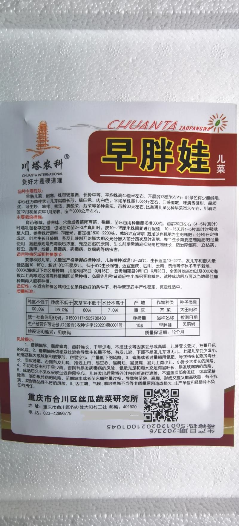 儿菜种子早胖娃早熟大角味道甜嫩