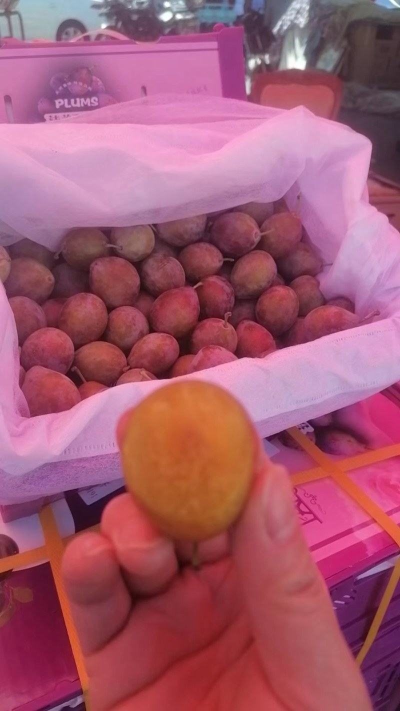 喀什西梅
