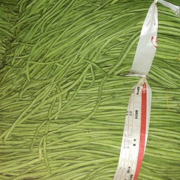 本土青长豆角豇豆每年八月以后供应特嫩无斑点漂亮