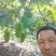葡萄