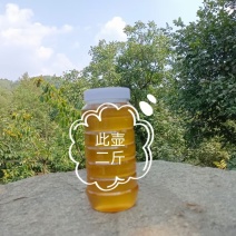 土蜂蜜，笨蜂蜜，洋蜂蜜
