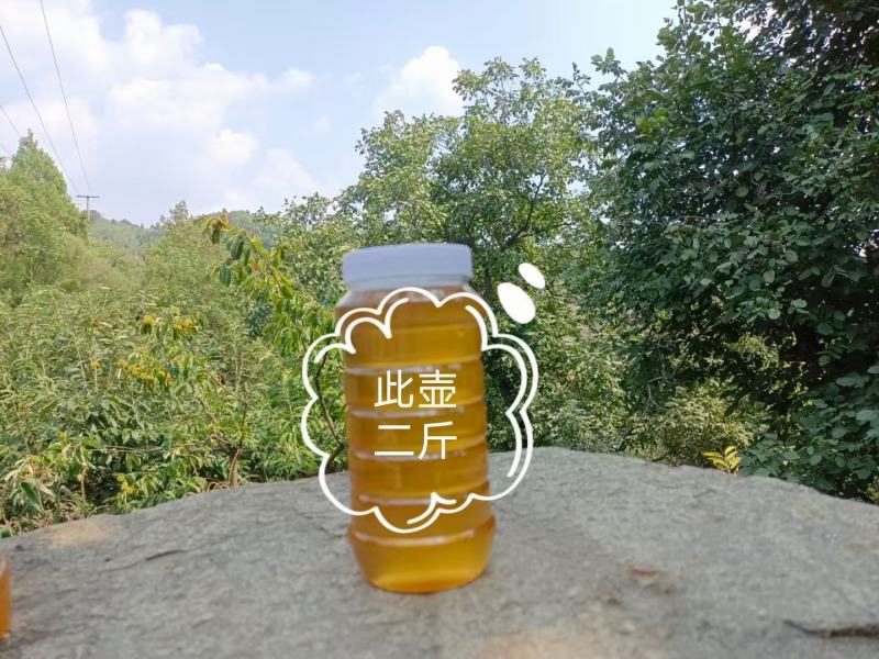 土蜂蜜，笨蜂蜜，洋蜂蜜