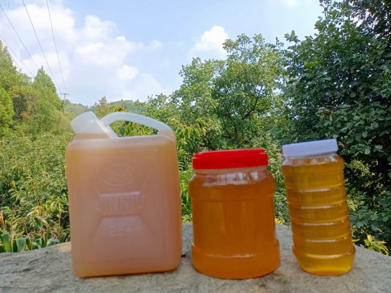 土蜂蜜，笨蜂蜜，洋蜂蜜