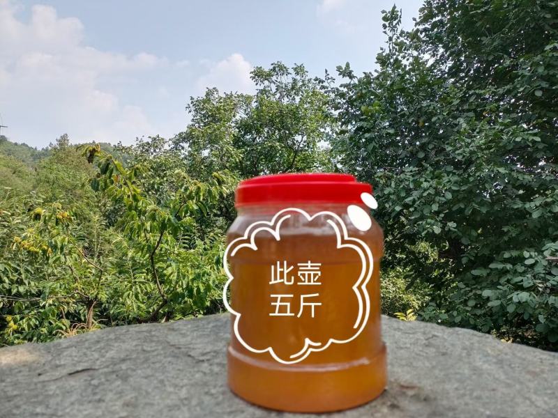 土蜂蜜，笨蜂蜜，洋蜂蜜