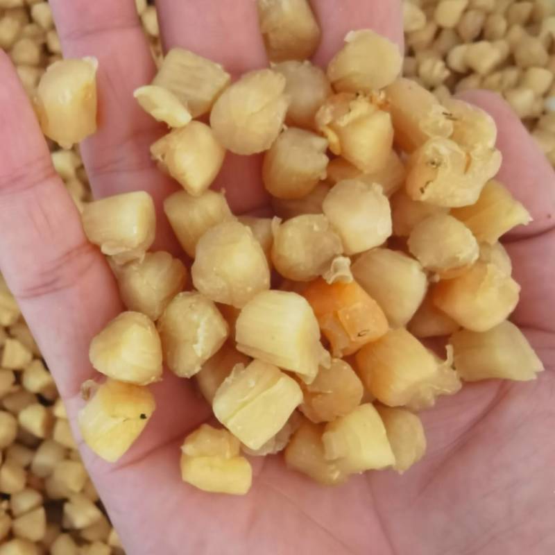 淡干瑶柱干贝瑶柱大号干贝元贝扇贝柱扇贝煲粥煲汤支持拿样