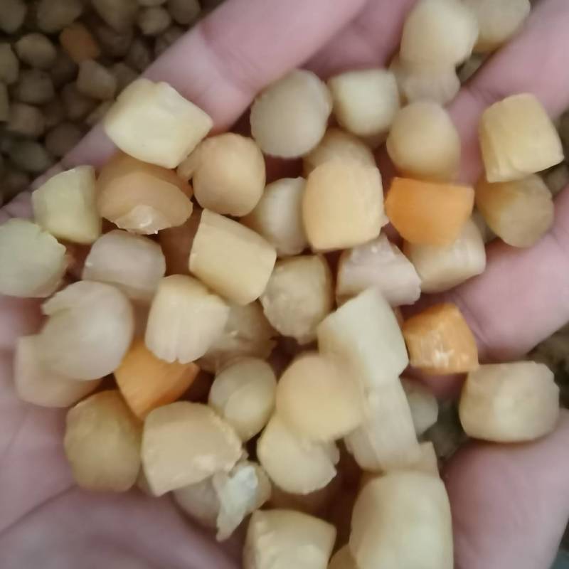 淡干瑶柱干贝瑶柱大号干贝元贝扇贝柱扇贝煲粥煲汤支持拿样