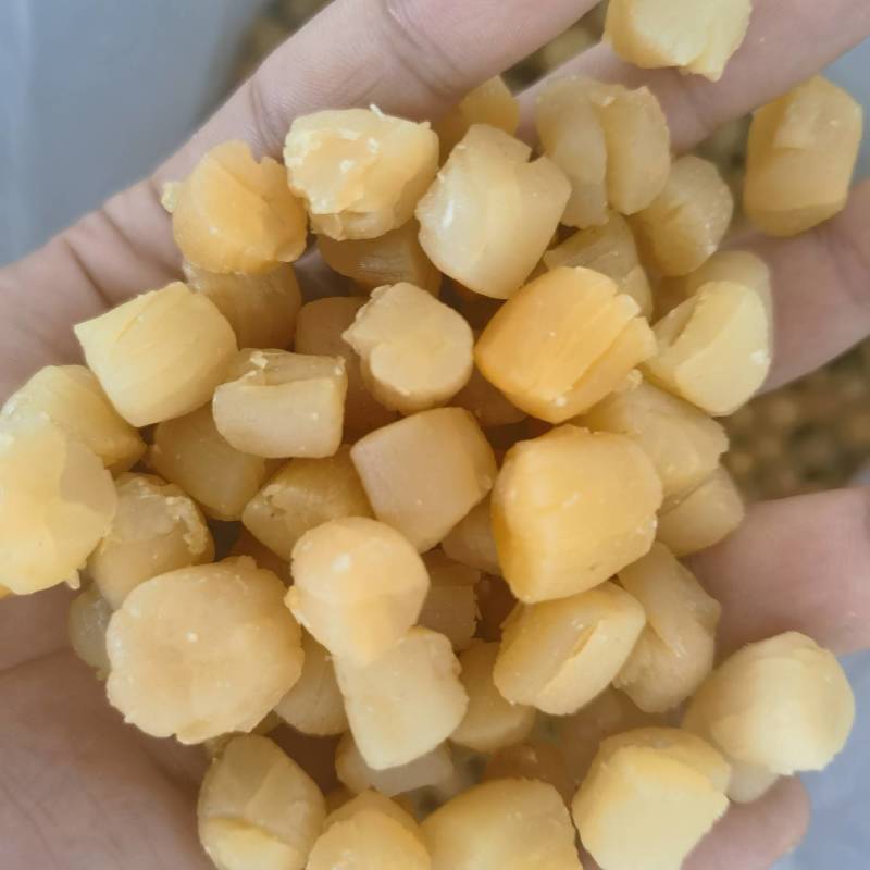 淡干瑶柱干贝瑶柱大号干贝元贝扇贝柱扇贝煲粥煲汤支持拿样