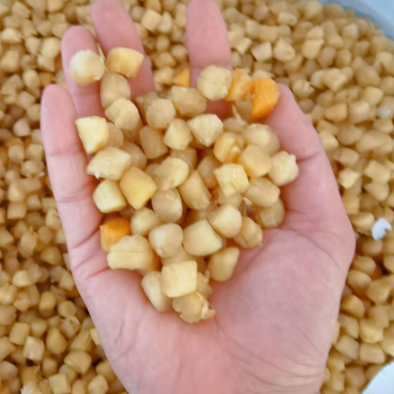 淡干瑶柱干贝瑶柱大号干贝元贝扇贝柱扇贝煲粥煲汤支持拿样