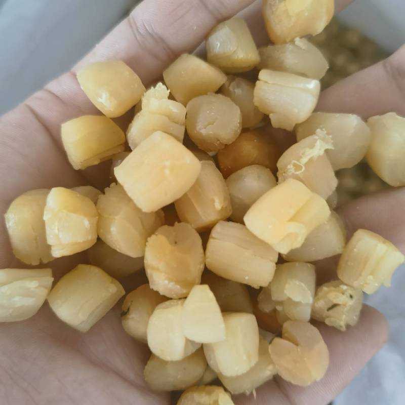 淡干瑶柱干贝瑶柱大号干贝元贝扇贝柱扇贝煲粥煲汤支持拿样