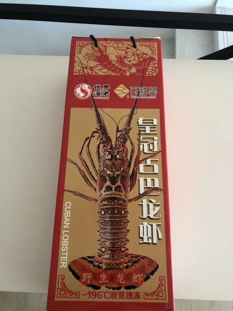 龙虾礼盒装，古巴龙虾，礼盒装龙虾顺丰包邮到家，可代发