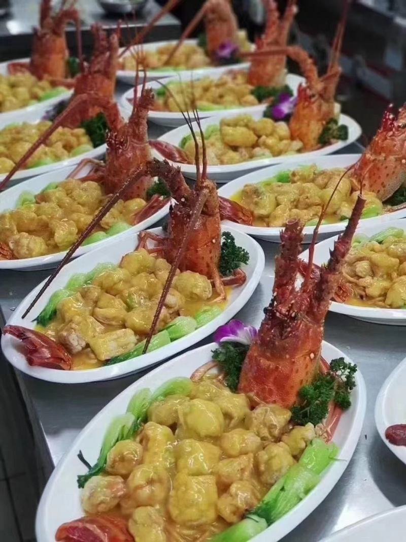 龙虾礼盒装，古巴龙虾，礼盒装龙虾顺丰包邮到家，可代发