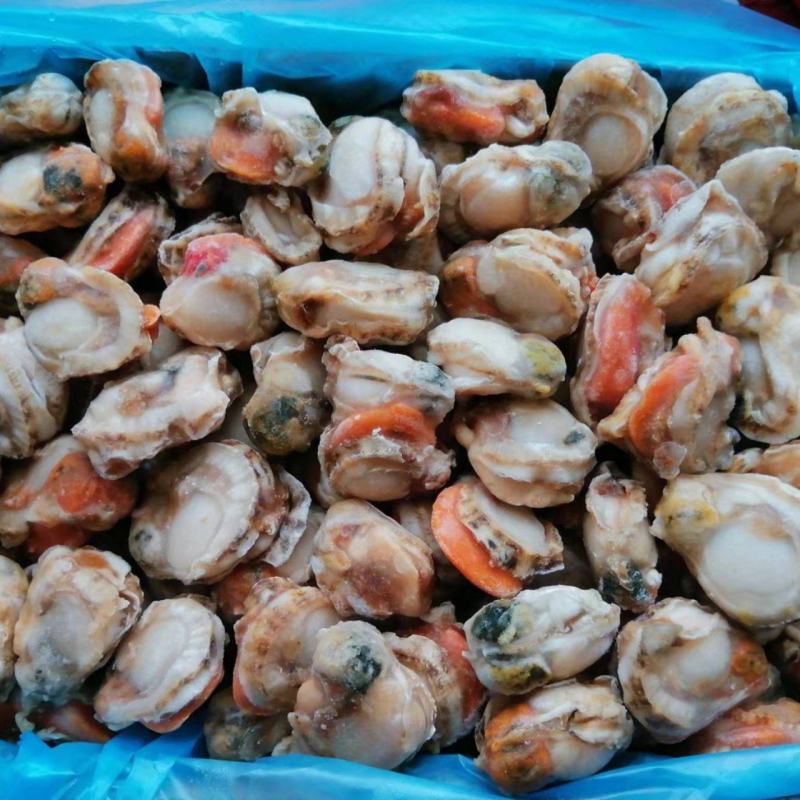 贻贝，4斤一件包邮批发价红贝肉品质保证，可批发