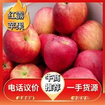 红露苹果上市了欢迎来电咨询一手货源云南苹果