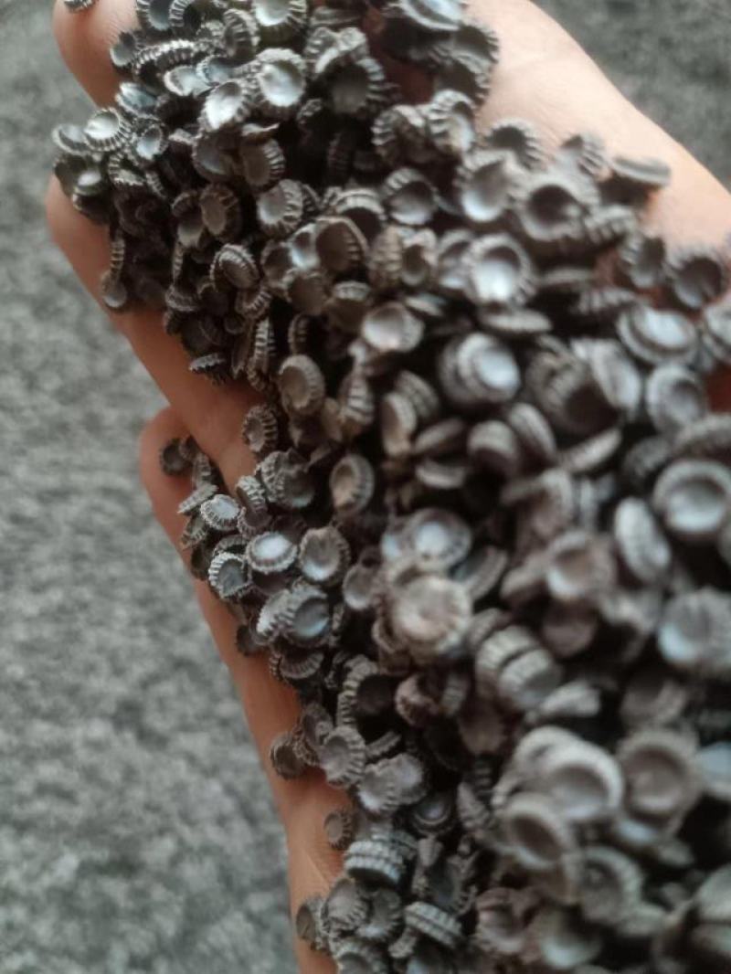 粉防已种子一手货源量大从优质量保证欢迎咨询